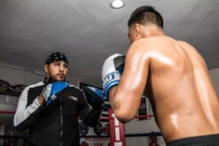 TITLE Platinum Perilous Micro Palm Mitts β Genuine Full Grain Cowhide Leather Professional Punch Mitts 15 TITLE Platinum Perilous Micro Palm Mitts β Genuine Full Grain Cowhide Leather Professional Punch Mitts -Title Boxing Store ppsmpm 1