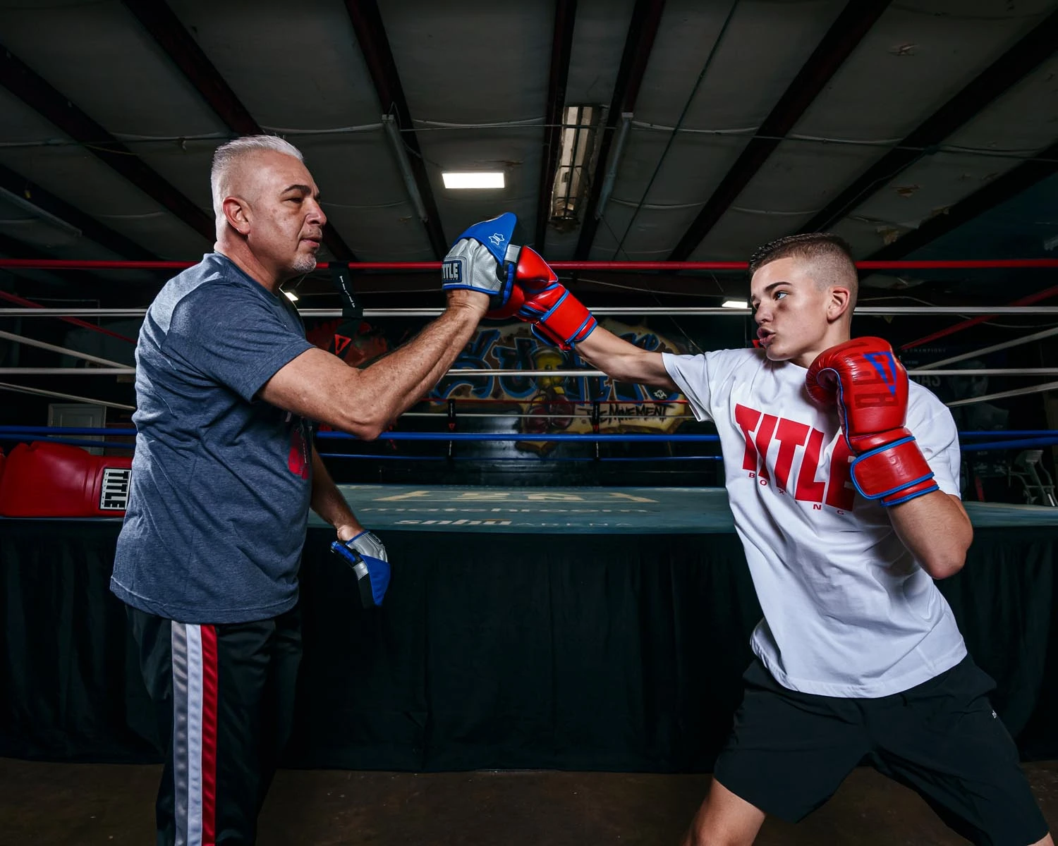 TITLE Platinum Perilous Micro Palm Mitts β Genuine Full Grain Cowhide Leather Professional Punch Mitts 2 TITLE Platinum Perilous Micro Palm Mitts β Genuine Full Grain Cowhide Leather Professional Punch Mitts - Image 2