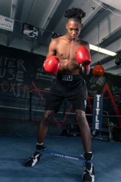 TITLE Boxing Power Stance Resistance Bands -Title Boxing Store psrbnds05