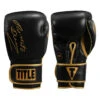 TITLE Boxing Roberto Duran Signature Leather Bag Gloves – Hands of Stone Vintage Style Bag Gloves