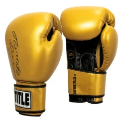 TITLE Boxing Roberto Duran Leather Training Gloves -Title Boxing Store rdtg gd bk 02