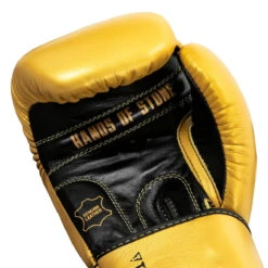 TITLE Boxing Roberto Duran Leather Training Gloves -Title Boxing Store rdtg gd bk 05