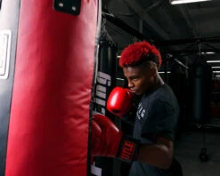 TITLE Boxing Synthetic Leather Heavy Bag (Unfilled) -Title Boxing Store uftshb bk rd 2