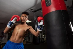 TITLE Boxing USA Leather Bag Gloves -Title Boxing Store usabg replace the current