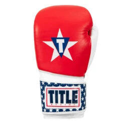 TITLE Boxing USA Leather Bag Gloves -Title Boxing Store usabg 03