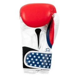 TITLE Boxing USA Leather Bag Gloves -Title Boxing Store usabg 04