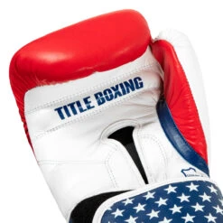 TITLE Boxing USA Leather Bag Gloves -Title Boxing Store usabg 05