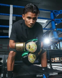 WBC By TITLE Boxing Green Belt Training Gloves 1.0 -Title Boxing Store wgbtg bk 2 1